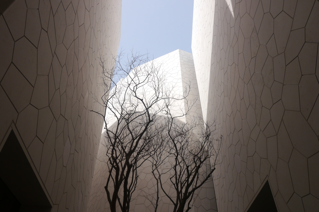 EXPO 2025　サウジアラビア