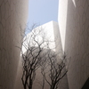 EXPO 2025　サウジアラビア