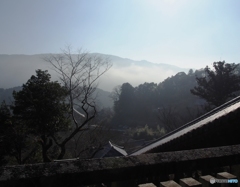 隠口の里～長谷寺より