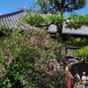 飛鳥寺