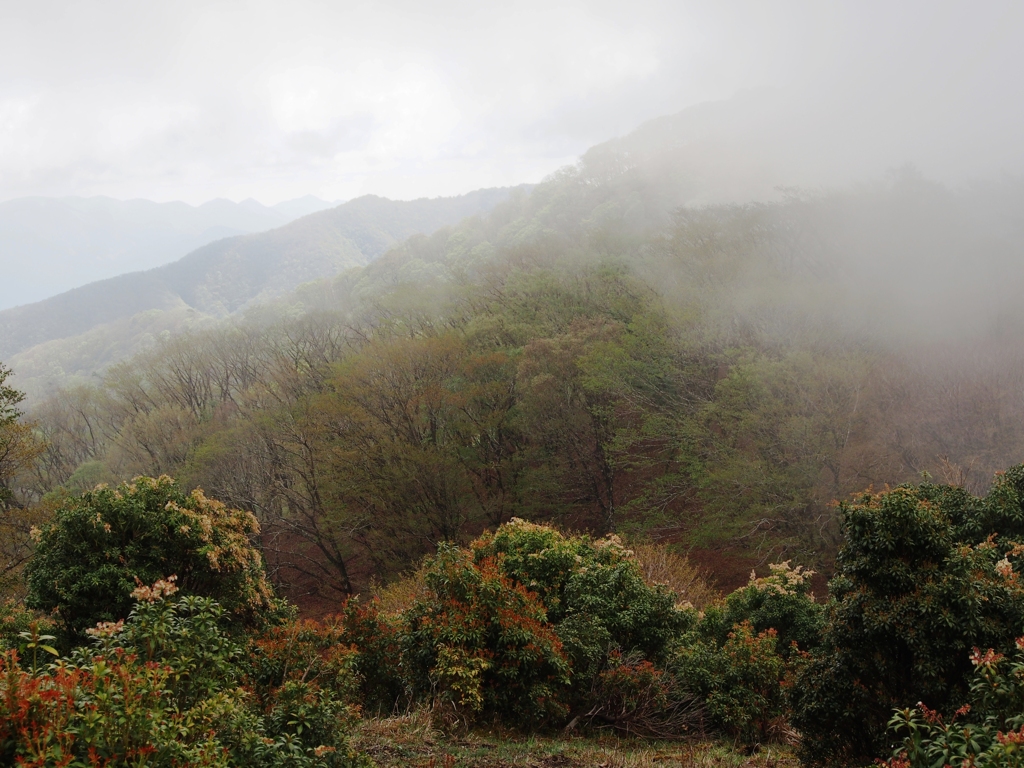 朝霧の台高山脈