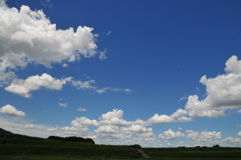夏の雲