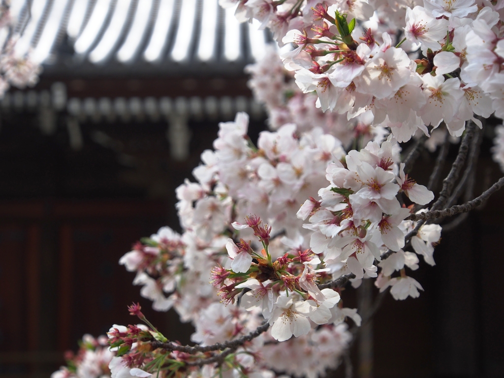 山里の寺2