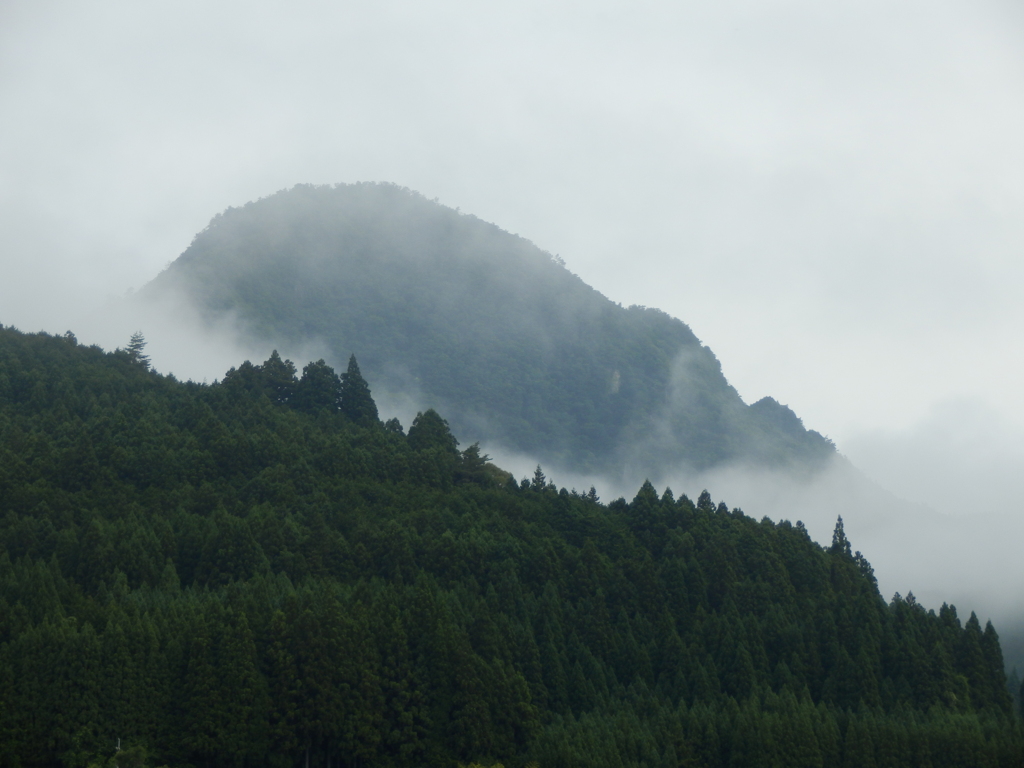 曾爾村・兜岳