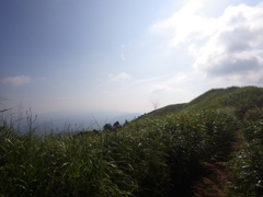 夏山光景Ⅱ