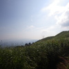 夏山光景Ⅱ