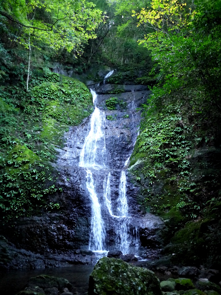和泉山脈 清水の滝