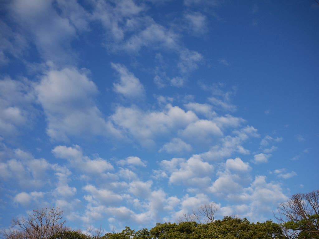 春を感じる朝空#3
