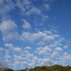 春を感じる朝空#3