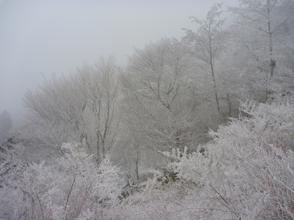 霧氷