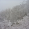 霧氷