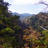 晩秋の山歩き2