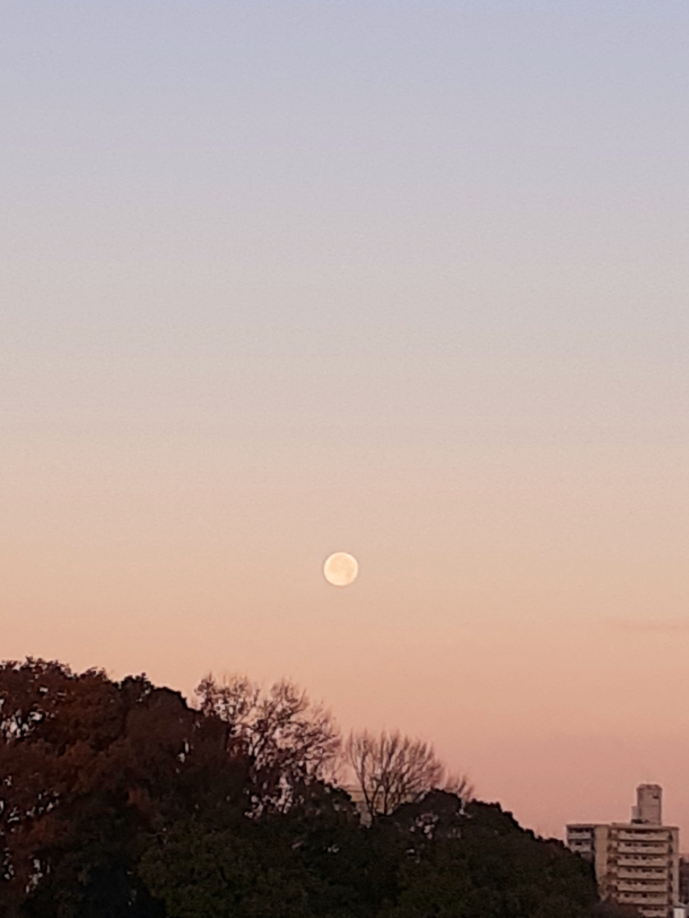 明方の月