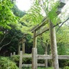 高野山町石道　二つ鳥居