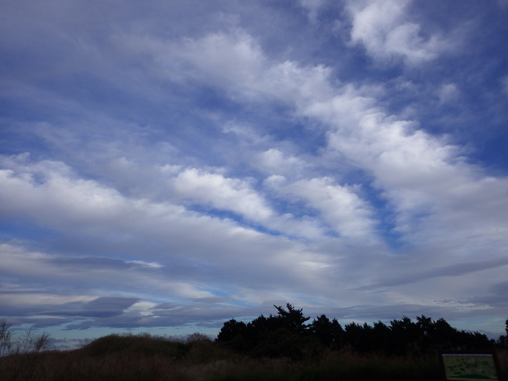 秋を感じる空～岩湧山にて