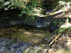 早朝 散歩登山3