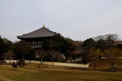 東大寺大仏殿