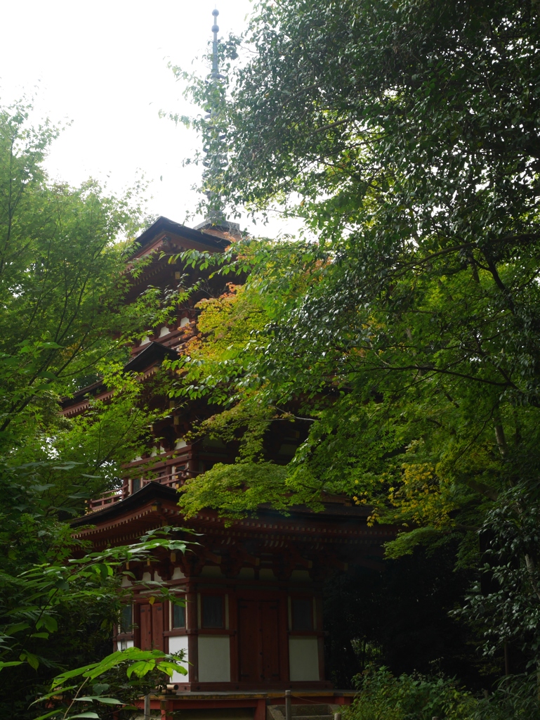 浄瑠璃寺三重塔