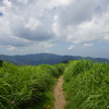 夏山・夏空Ⅱ
