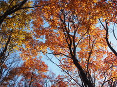 錦繍～比良にて