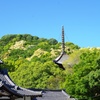 新緑のなかの山寺3