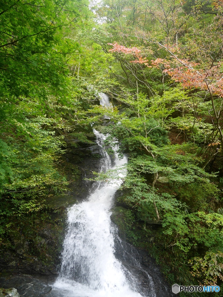 台高山脈渓流4