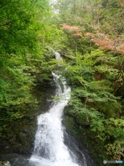 台高山脈渓流4