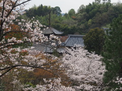 山里の寺１