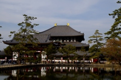 鏡池からの東大寺大仏殿