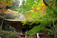 室生寺彩り