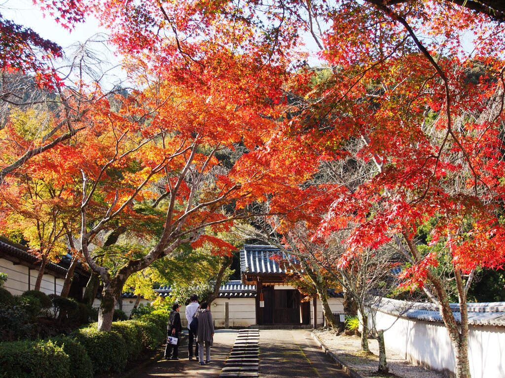 紅葉狩り