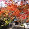 紅葉狩り
