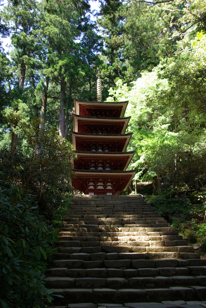 仰ぎ見る室生寺五重塔