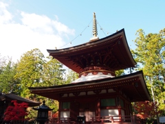 高野山の紅