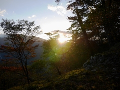 ほんのり秋色夕景