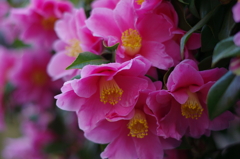 春までもう少し