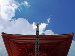 盛夏風景2