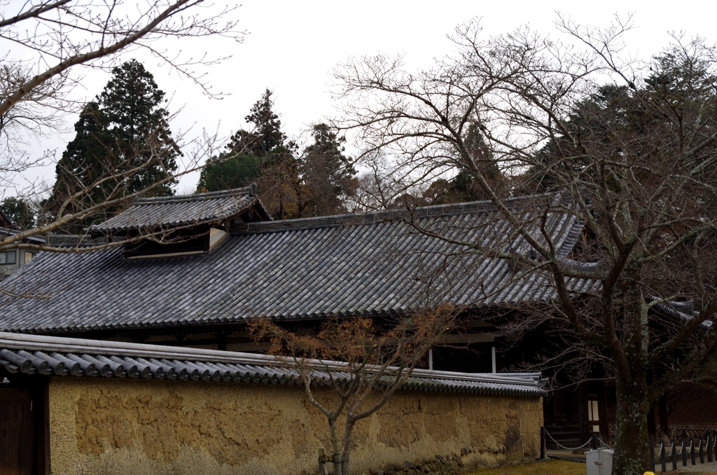 大湯屋冬景色