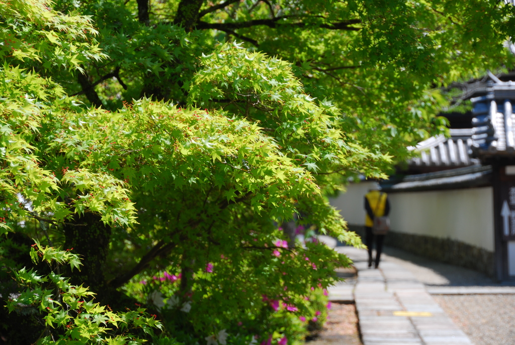 天野山金剛寺