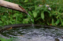 露地もすこし秋の気配