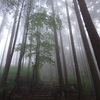 霧立ち込める登山道