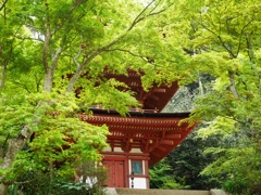 浄瑠璃寺 三重塔