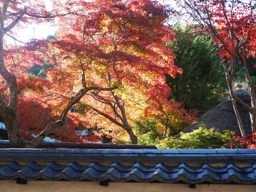 天野山金剛寺2