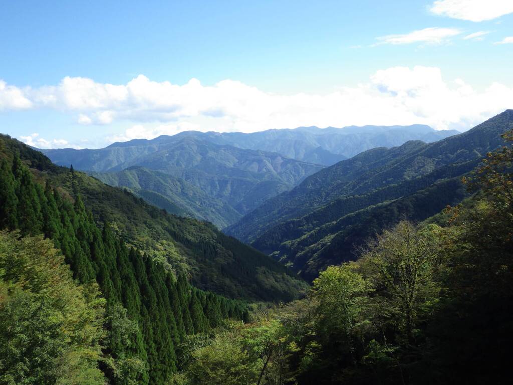 まだまだ緑の山並