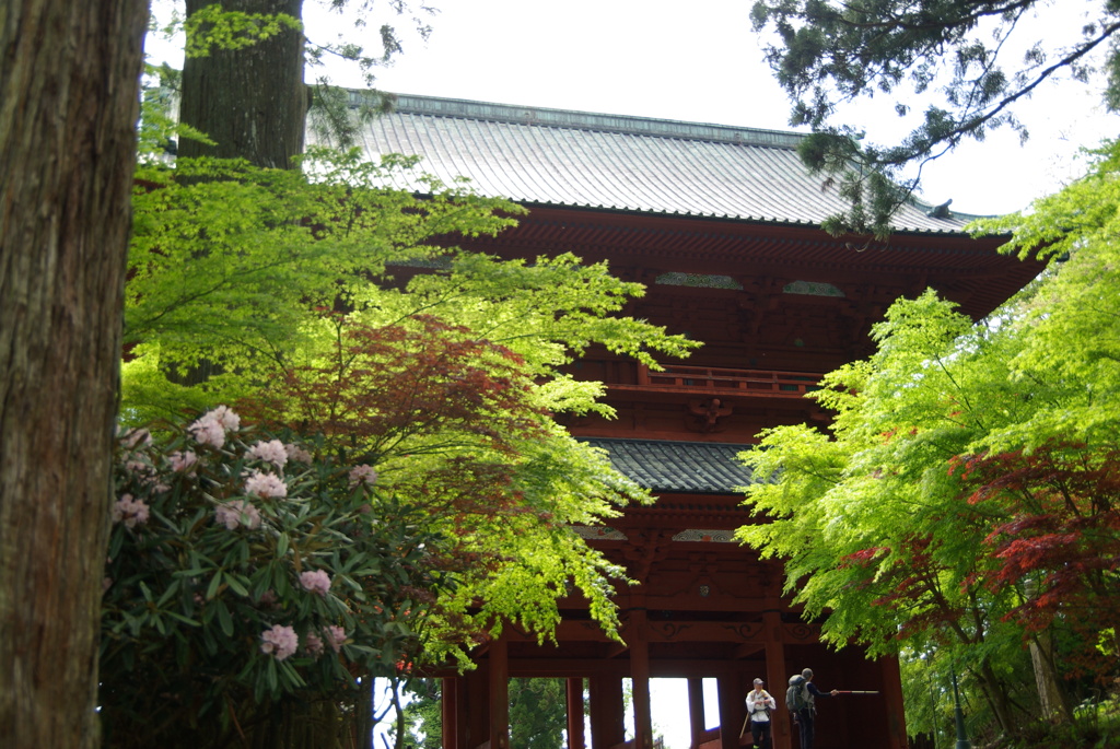 高野山大門