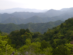低山あるき