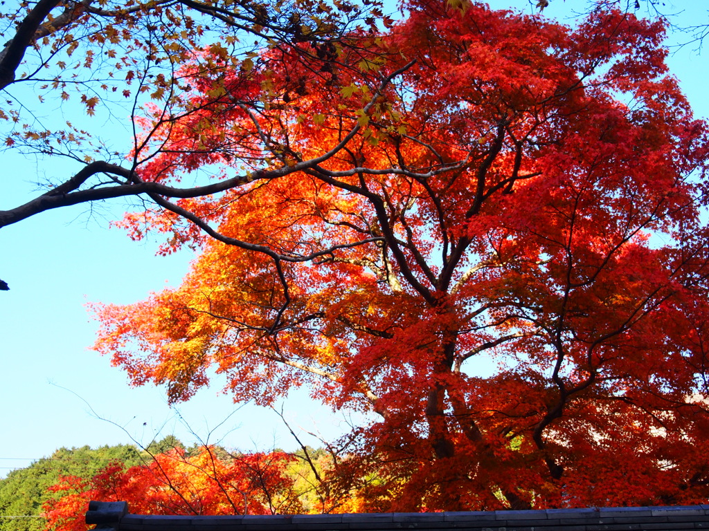 河内長野　延命寺