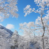 霧氷Ⅱ