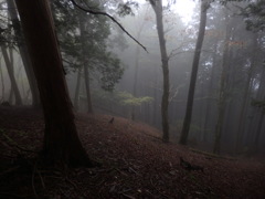 霧のなかの台高山脈