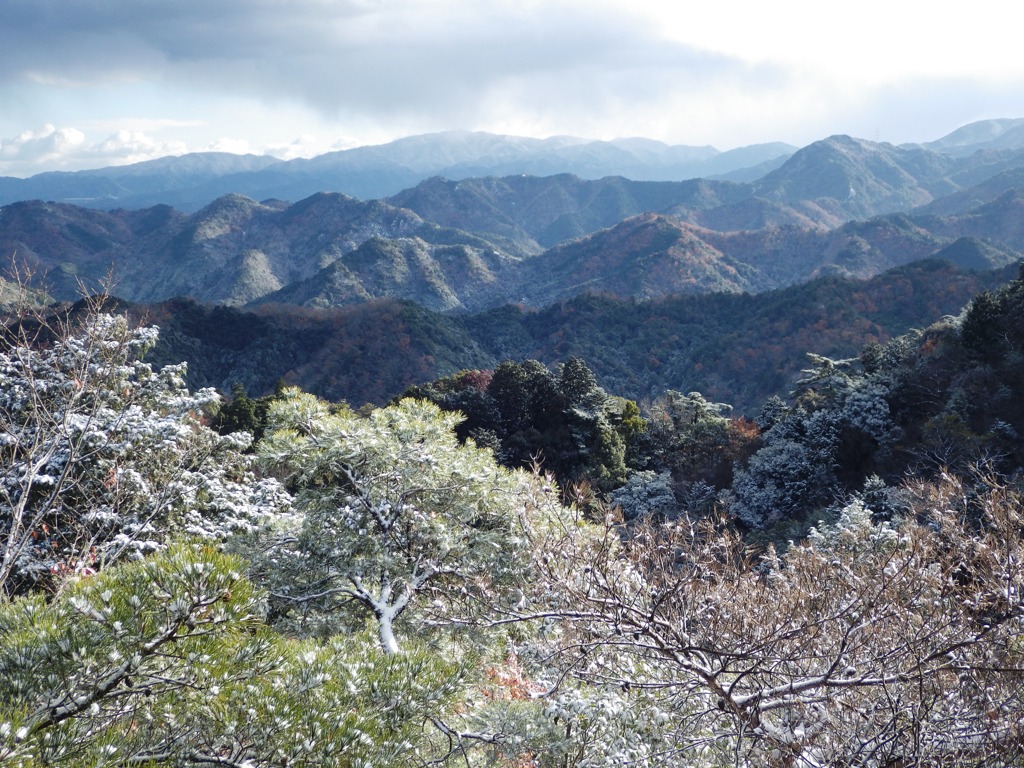 近くの山にも大寒波